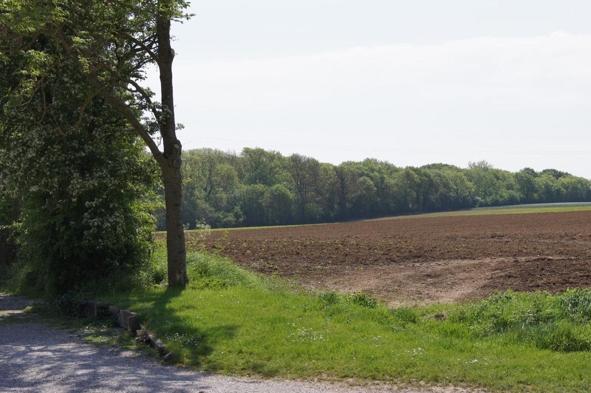 Logis La Ferme Du Vert Wierre-Effroy Exteriör bild